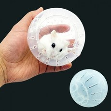 올몰 햄스터 쳇바퀴 볼 햄스터헬스 햄스터볼 햄스터놀이기구, 1.거치형햄스터볼10cm, 햄스터볼10cm, 1개