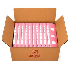 레드베리 A4 종이 정부화일 문서보관 파일철, 10개, 분홍
