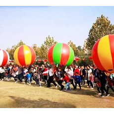 대형 에어바운스 큰 운동회 공 빅공 굴리기 야유회, 1개, 지름 2m 손잡이 없음