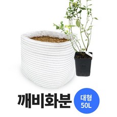 블루베리 화분 깨비화분 대형(50L) 특대형(130L) 분갈이화분, 1개