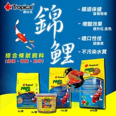 帥哥水族【波蘭 Tropical-德比克】錦鯉綜合條狀飼料 (4kg)【一袋】 錦鯉飼料 袋裝 鯉魚 黃金錦鯉, 1個