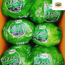 국내산 아삭아삭 양상추 (2봉 4봉 6봉) 600g 내외, 4개, 500g