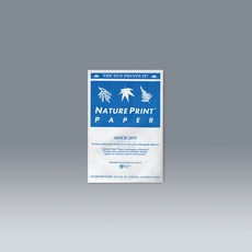 감광지(청사진 감광지)