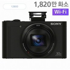 소니 dsc-wx500 (안전전단회사 전용 카메라 / 광학줌 30배 / 친절상담), wx500