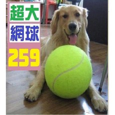 三峽貓爸的店 網球 簽名球 籃球 斯伯丁 足球 兒童 超大 網球拍 超大網球 充氣網球, 1個