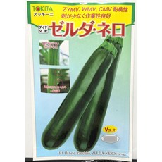 TOKITA ZELDA NERO F1 Hybrid Zucchini 種子, 1包