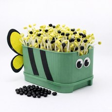 콩나물 키우기 키트 사각시루 꿀벌, 1개