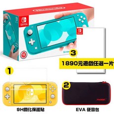 NS Lite 收納包 鋼化保護貼 藍綠色, 1個