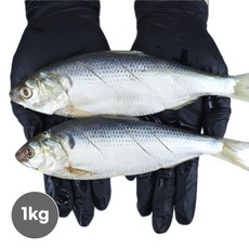 냉동 손질 전어 1kg 내장제거 여름 가을 전어 구이용, 02_손질전어 1kg 80/100