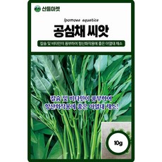 공심채 씨앗 10g 칼슘 비타민이 풍부하여 항산화 작용에 좋은 모닝글로리 종자, 1개 1개