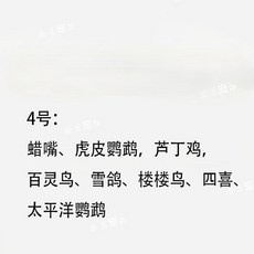 【開發票/統編】鳥用識別環腳環 玉鳥文鳥牡丹玄鳳和尚腳環 客製刻字鴿子腳環 公環 鴿子用品 合金識別環, 1個, 4.0凹面閉口環50個隨機編號