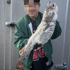 국내산 대왕 생물 대구 1마리 5kg급