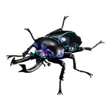 BANDAI 生物大圖鑑 彩虹鍬形蟲, 4.黑色
