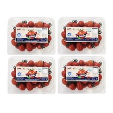 생생스토리 스테비아 대추방울토마토 대추토망고, 500g, 4개