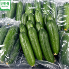 미니오이 신선산지직송, 1박스, 2KG