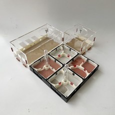 확장형 조립식 개미집 사육 상자 아크릴 둥지 앤트하우스 키트 키우기 개미, 8. 패키지 6 전체 세트 (무료)