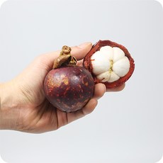 태국 생 망고스틴 항공직송 프리미엄 생과 열대과일 임산부 제철과일, 1개, 생 망고스틴 500g