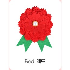 플렌룬 카네이션뱃지 DIY키트 부직포 브로치, 8개, 레드