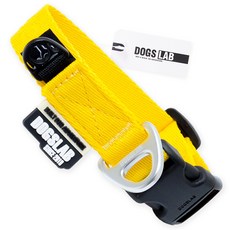 독스랩 강아지 목줄 클래식, 1개, 단델리온 옐로우