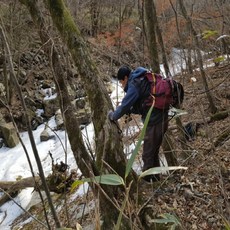 지리산 함양 마천 고로쇠 물 수액 1.5L 백소령, 12개