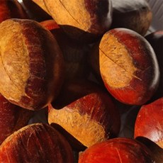 ALOHA-STORE 포르단 칼집밤 밤칼집, 대 2kg 이상