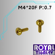ROYAL 鈦合金螺絲 M4*20F P:0.7 飛碟頭螺絲 - 土豪金, 1個