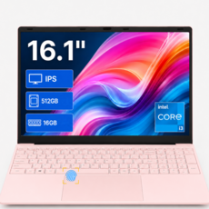 가성비 16.1인치 대화면 노트북 인텔 코어 i3-6006U 16GB RAM 512GB SSD FHD IPS 한글 키보드 윈도우10 Microsoft 365 지원 사무용 학습용, B161-I3-16512, WIN10, 핑크