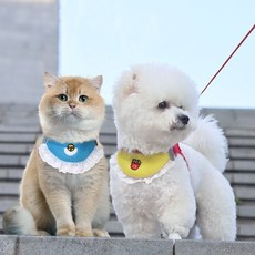 작은 강아지 리드줄 강아지 산책줄 애견 소형견 리드줄 _ tri009, 블루_M