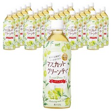 서프베버리지 머스캣 그린티, 24개, 500ml