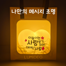 [루미데오] LED 하트조명 메시지 맞춤 무드등 생일선물 기념일 커플선물 이름각인, 화이트조명
