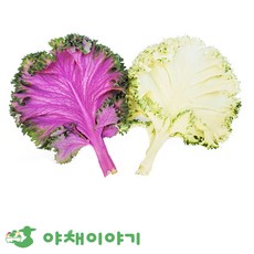 야채이야기 로즈잎 200g 적로즈 백로즈 혼합로즈 로즈케일, 1개