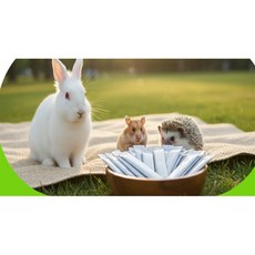 모두상회 소동물 비타민 앵무새