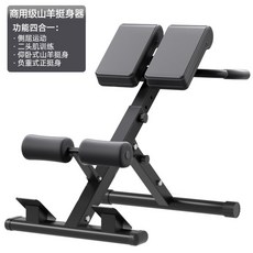 백익스텐션 로만 체어 기립근 헬스장 등 홈짐 웨이트, C. 가구 표준