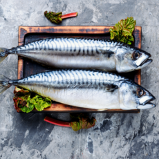 국내산 자반고등어 특대 손질 생선, 1박스, 10미 (특대, 손질후 3000g)