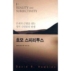 호모 스피리투스 / 데이비드 호킨스 / 판미동
