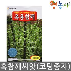 흑용 참깨씨앗 1000립 흑참깨씨, 1개