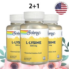 솔라레이 리신 500mg 120캡슐 라이신 L라이신 x 3병, 120정
