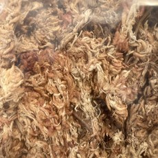 고급 천연 수태 75g 150g 500g 2kg 몬스테라 수태봉만들기 화분마감재 목부작 토피어리 풍란, 1개