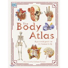 The Body Atlas : A Pictorial Guide to the Human Body, DK