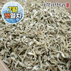 가락시장521 볶음용 햇 지가이리 1.5kg 국산 대용량 잔멸치 볶음멸치, 1개