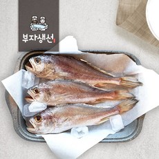 반건조 생선 골라담기 민어조기 침조기 서대 빨간고기 세트 모음 (망미중앙시장 부자생선)_, 침조기30~32cm 5마리, 1개