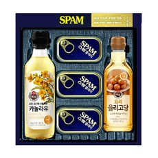 CJ 스팸복합 MC-B호 선물가방포함 선물세트, 1세트