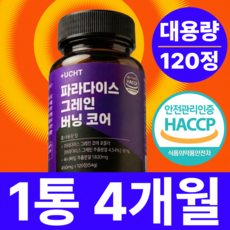 유캔헬씨 파라다이스 그레인 버닝 추출물 그래인 플러스, 1개, 120정