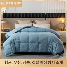 따뜻한겨울이불 양모이불 덕다운 침대 따뜻한 보온, 정음 블루