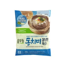 풀무원 동치미물냉면육수, 옵션 x 1개, 290g, 1개