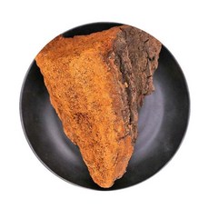 동인당 야생 차가버섯, 1개, 250g