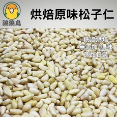 蹦蹦鳥 烘焙原味松子仁 (大顆) 低溫烘焙 無調味 鸚鵡/蜜袋鼯, 1個, 100g