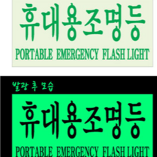 축광 스티커 야광 소방 재난 비상구 유도 스티커 대비 완강기 조명등 점착식 휴대용 내구성 표지판 화재