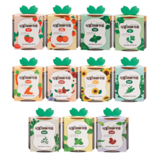 이지그로우 식물재배키트 식물키트세트 식물키우기세트, 고수 3개