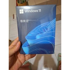 win11 Windows11 繁體專業版 office 2021專業增強版組合，一次購買永久使用，提升工作效率與安全性, Windows 11專業版